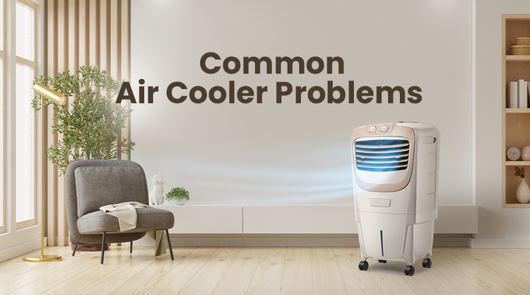 Common Air Cooler Problems 