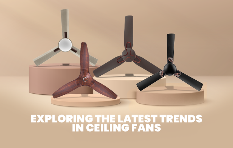 Latest trends in ceiling fans