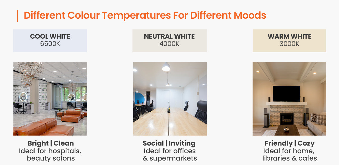 Neutral White vs Cool White, How to Choose? - Essenled Lighting
